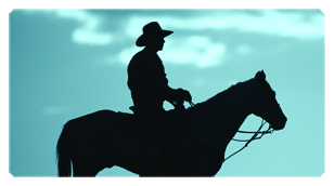 DSC700 360 BL Cowboy Blue